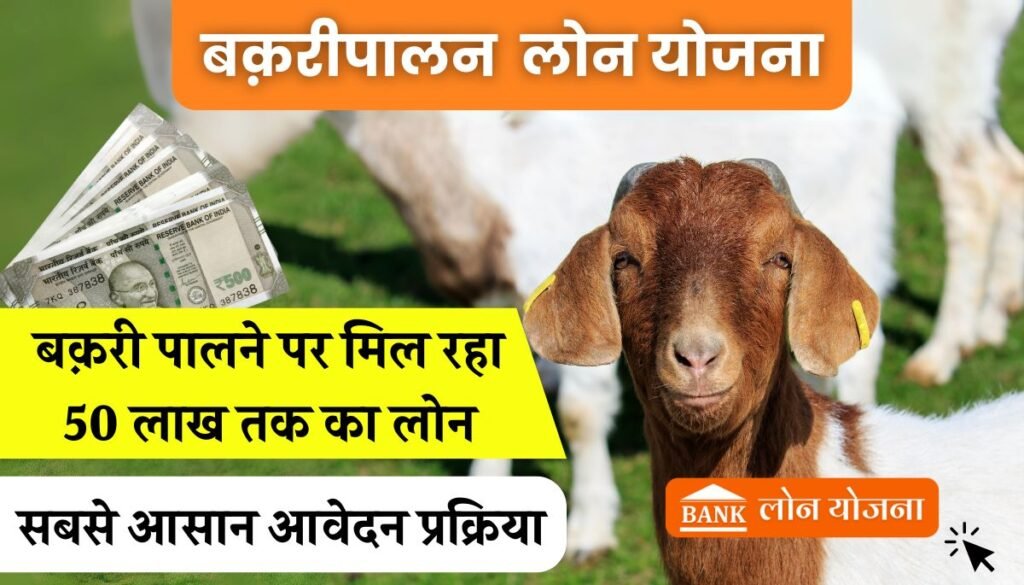 Goat Farming Loan Apply: बकरी पालन के लिए मिल रहा 50 लाख का लोन, ऐसे करें मात्र 10 मिनट में आवेदन - Bank Loan Yojana
